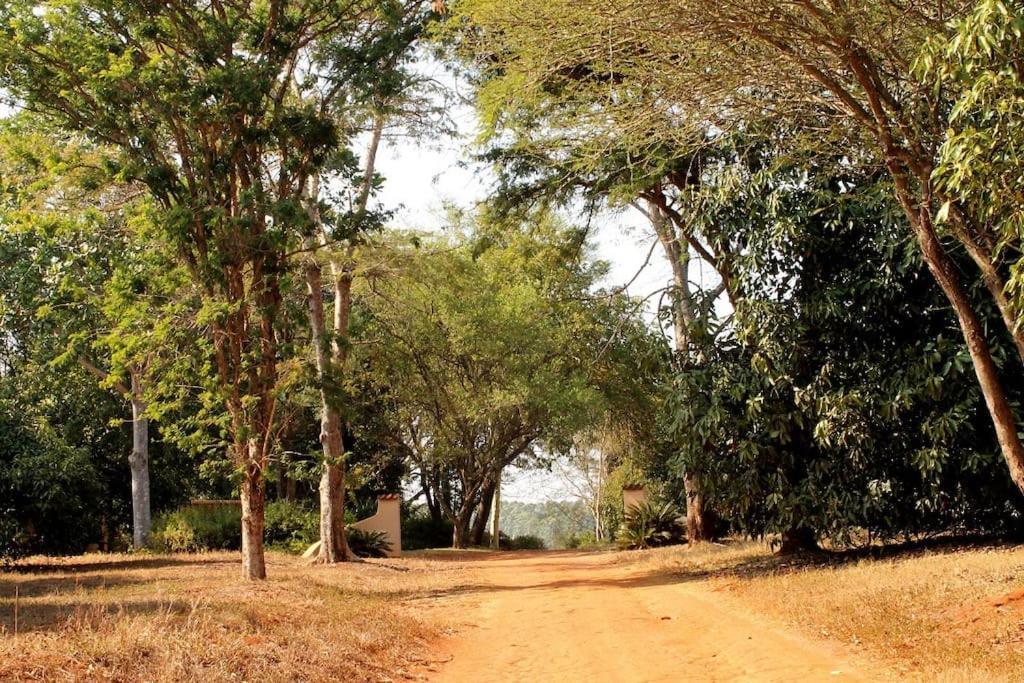 Villa Boschoek Farm à Tzaneen Extérieur photo